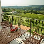 Vinsko Posestvo Rodica - Rodica Wine Estate Apartmán Marezige