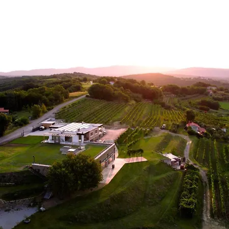 Vinsko Posestvo Rodica - Rodica Wine Estate