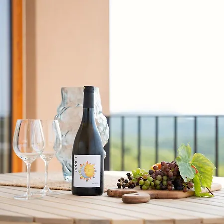 Apartmán Vinsko Posestvo Rodica - Rodica Wine Estate *