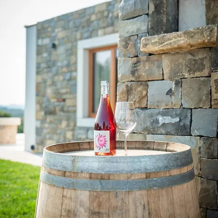 Apartmán Vinsko Posestvo Rodica - Rodica Wine Estate *