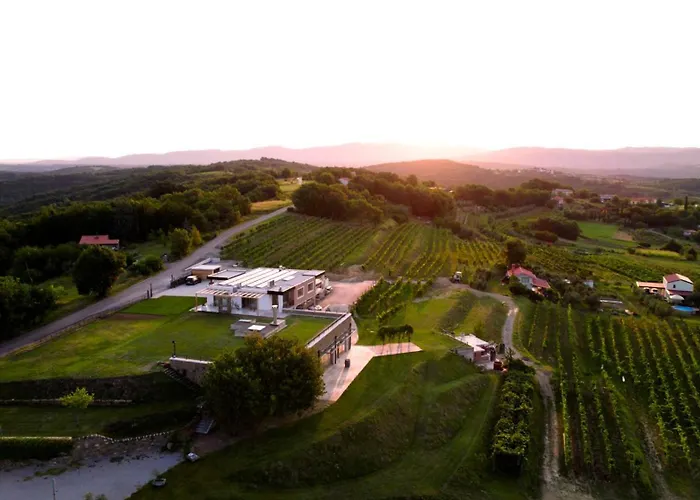 Vinsko Posestvo Rodica - Rodica Wine Estate