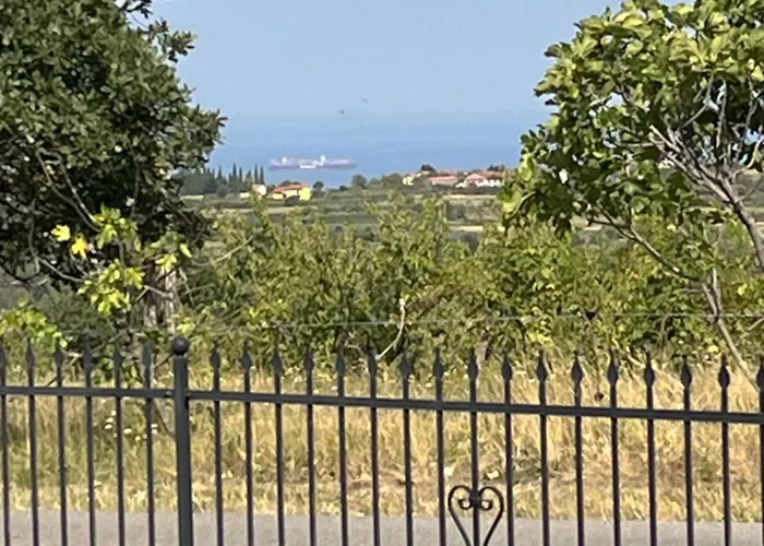 Vinsko Posestvo Rodica - Rodica Wine Estate * Marezige