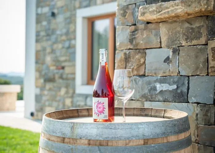 Lägenhet Vinsko Posestvo Rodica - Rodica Wine Estate *